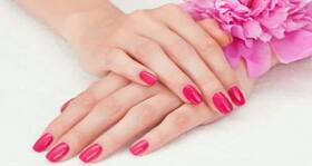 Dry Hands: हाथों की ड्राईनेस को ना करें इग्नोर, सर्दियों में इन शहनाज़ हुसैन टिप्स की मदद से रखें हाथों का ख्याल