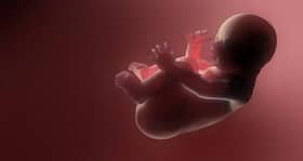 Coming soon - 3D models of your unborn babies? Coming soon - 3D models of your unborn babies?