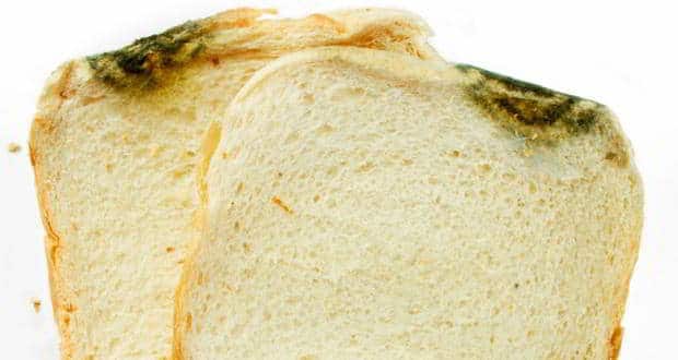 Scientists modify fungus found on bread into an anti-virus chemical
