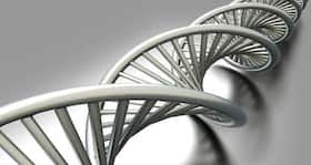 Genes play a role in arsenic poisoning