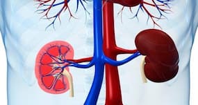 Sister gives brother an irreplaceable Rakhi gift - one of her kidneys!