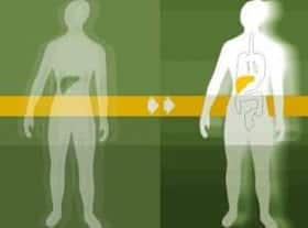 Liver transplants: Frequently Asked Questions answered by a renowned liver transplant surgeon