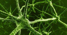 Gene therapy to help the brain repair damaged neurons