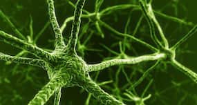 Gene therapy to help the brain repair damaged neurons