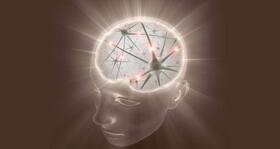 Memory stored in nerve cells key to wiping out pain