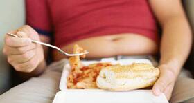 Stomach clock tell us how much to eat Stomach clock tell us how much to eat
