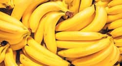 Eating Healthy: डायबिटीज़ में ज़्यादा पका हुआ केला खाना चाहिए? जानें पके हुए केले खाने के नुकसान और फायदे