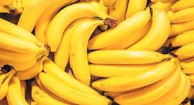 Eating Healthy: डायबिटीज़ में ज़्यादा पका हुआ केला खाना चाहिए? जानें पके हुए केले खाने के नुकसान और फायदे