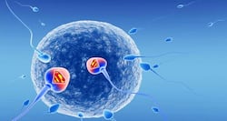 Smoking, alcohol, drugs and obesity doesn't affect sperm quality!