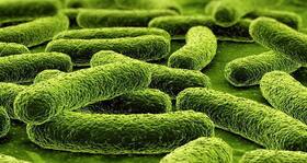 After swine flu, Pune hit by drug-resistant tuberculosis