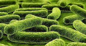 Diagnosis of drug-resistant TB to now take only 3 months