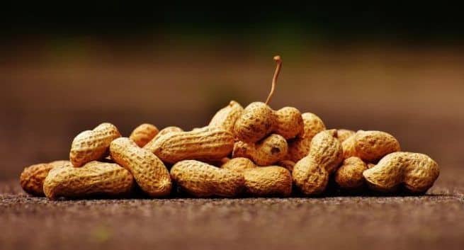 What is peanut allergy facts