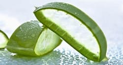 10 amazing health benefits of aloe vera