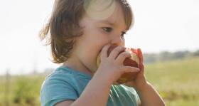 Diet Tip #12: Eat an apple daily to improve your memory Diet Tip #12: Eat an apple daily to improve your memory