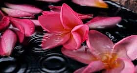 Alternative therapies of Indian origin