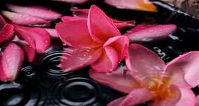 Alternative therapies of Indian origin Alternative therapies of Indian origin