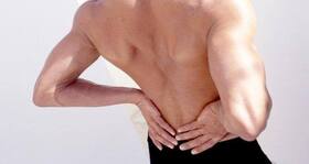 Scientists develop 'roller' to keep your back flexible Scientists develop 'roller' to keep your back flexible