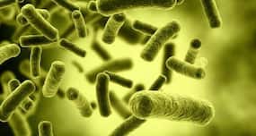 Antibiotic smart bomb that only kills 'bad' bacteria