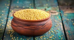 Diabetes Diet Tip: हाई ब्लड शुगर को कंट्रोल करने के लिए खाया जाता है बाजरे का आटा, जानें डायबीटिक्स के लिए बाजरा के और भी फायदे