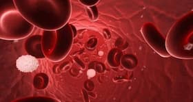How do I increase my blood? (Health query)