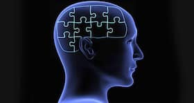 A new technique designed to image a transparent brain