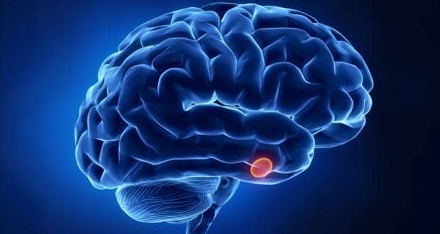 How Paracetamol can slow brain development in kids TheHealthSite