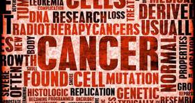 Lack of Y chromosome increases cancer risk in men