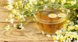 Chamomile Tea Benefits : वजन कम करने की प्रक्रिया को बढ़ा देती है कैमोमाइल टी, जानें कैसे