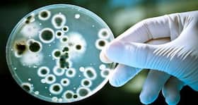Disarm, don't kill bugs, to counter antibiotic resistance