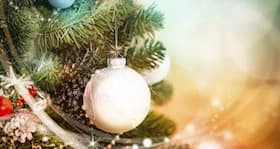 Tips to avoid allergies during Christmas
