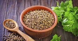 Eat coriander or dhania to relieve swelling and pain due to infections