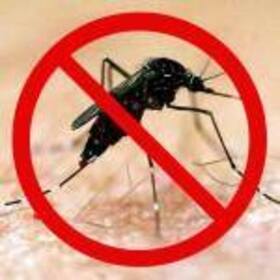Delhi Dengue Update: 150 'official' cases