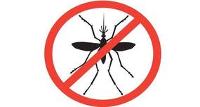 Mosquito terminator to check dengue