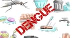 Dengue fever: Symptoms, medication and prevention