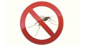 World Health Day 2014: Simple preventive steps can control vector-borne diseases World Health Day 2014: Simple preventive steps can control vector-borne diseases