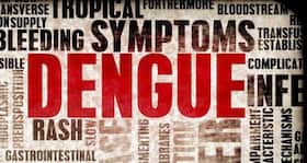 Will a dengue vaccine work?