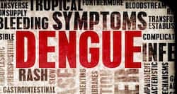 Delhi Dengue Update: Total cases rise to 23