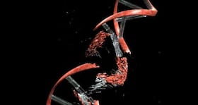 Could radiation exposure in space damage your DNA?