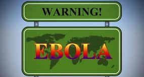 What is the Ebola virus disease survival rate?