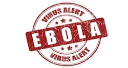 Latest Ebola Treatment: Israeli scientists race to find Ebola vaccine