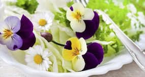 Are edible flowers actually good for you?