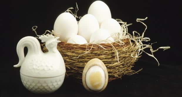 Eggs – good or bad for health? | TheHealthSite.com