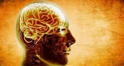 People with epilepsy or 'fits' can function normally with medication