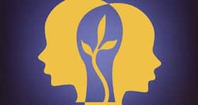 The importance of EQ