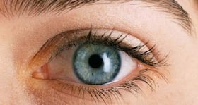 Top 8 interesting facts about the human eye
