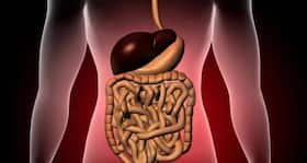 Fatty liver disease -- causes, types, symptoms, diagnosis, treatment and prevention