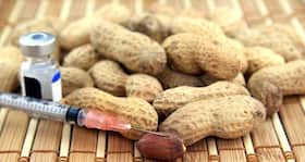 Scientists find cause and cure for unsolved food allergy