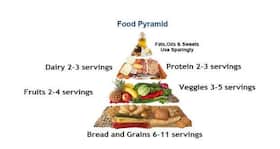 The food pyramid - the secret to eating healthy and losing weight!