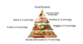 The food pyramid - the secret to eating healthy and losing weight!