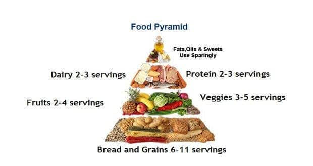 What Is Food Pyramid Chart